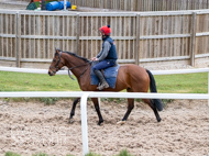 BP140425-19 - Squire Danagher (red hat)